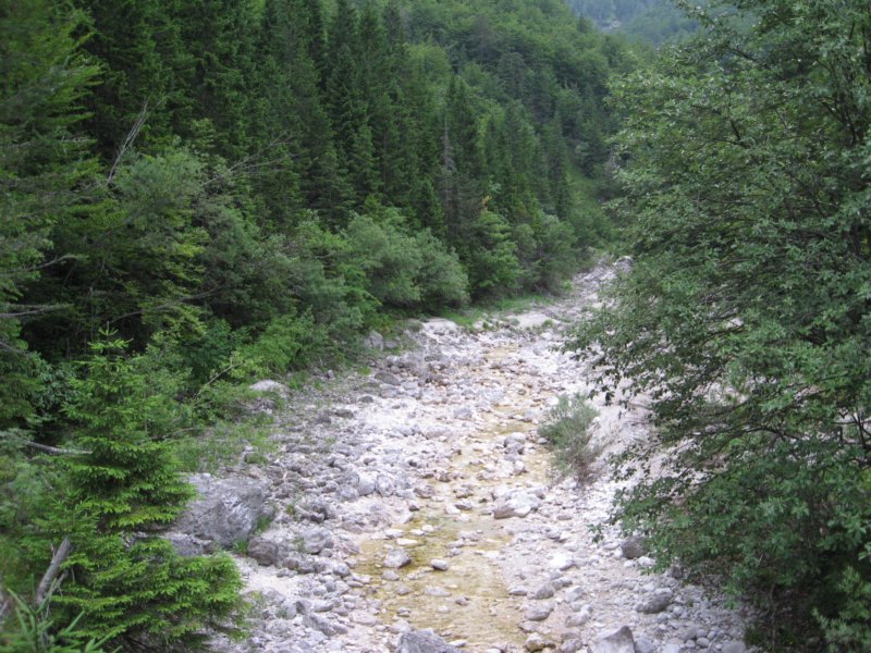 potstoletnice3.jpg