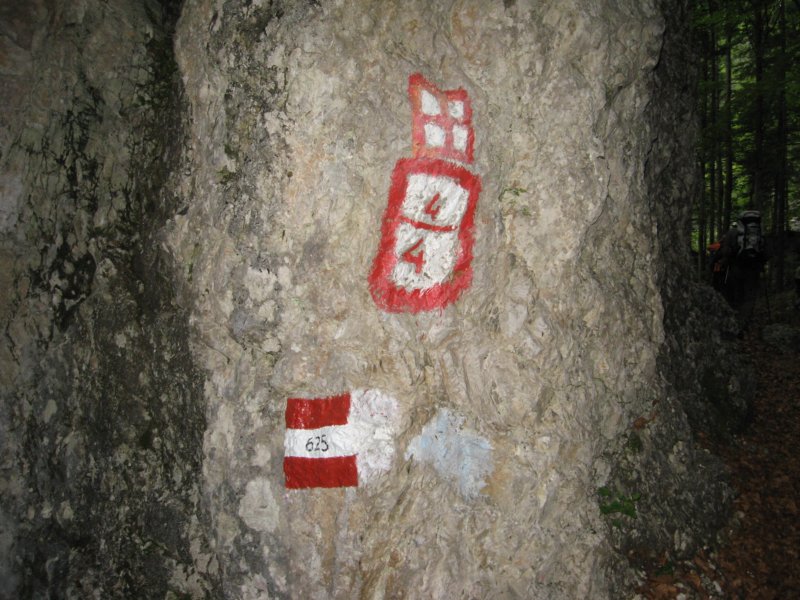 potstoletnice7.jpg