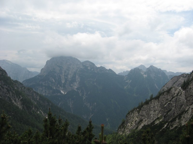 potstoletnice70.jpg