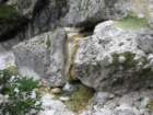 potstoletnice78_small.jpg