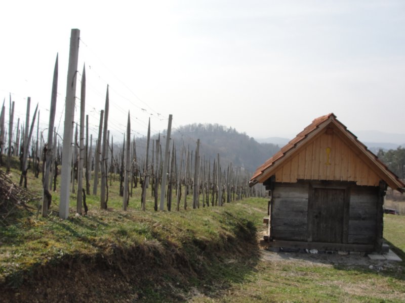 povrnica32.jpg
