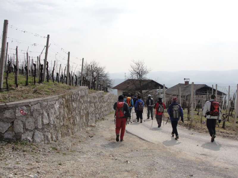 povrnica45.jpg