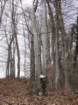 povrnica50_small.jpg