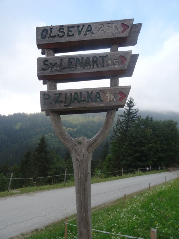 oleva20183.jpg