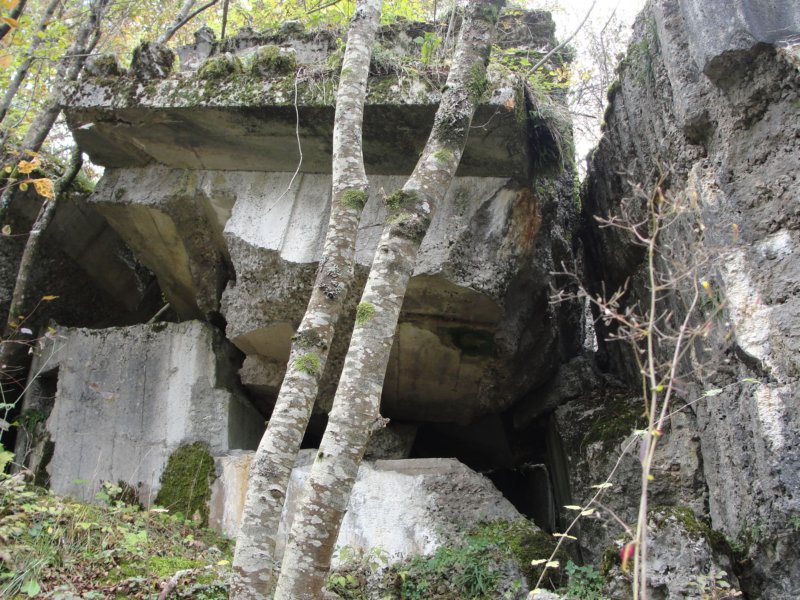 primoinilentabor031.jpg