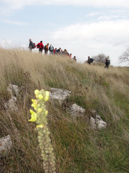 primoinilentabor041.jpg