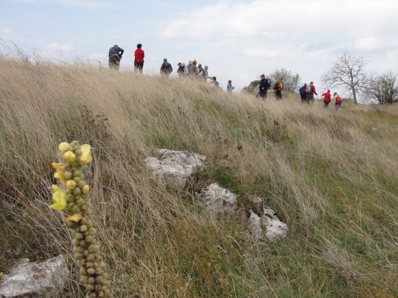 primoinilentabor042.jpg