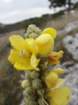 primoinilentabor044_small.jpg