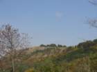 primoinilentabor068_small.jpg