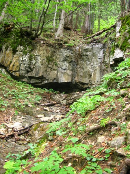 raduhapolovskiinplezalnipoti39.jpg