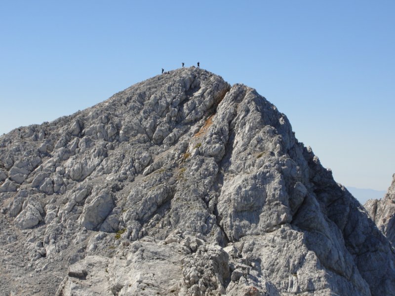 rinke41.jpg