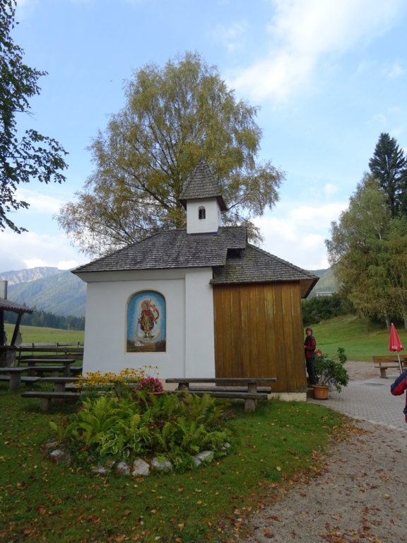rjavca1.jpg
