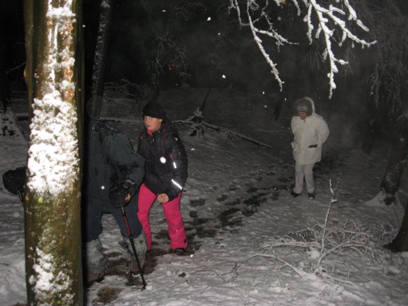 ronik201312.jpg