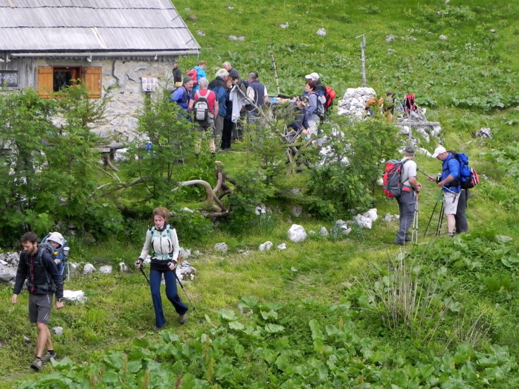 rzenik29.jpg