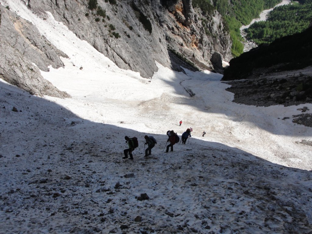 kafinkocbekovopriznanje201318.jpg