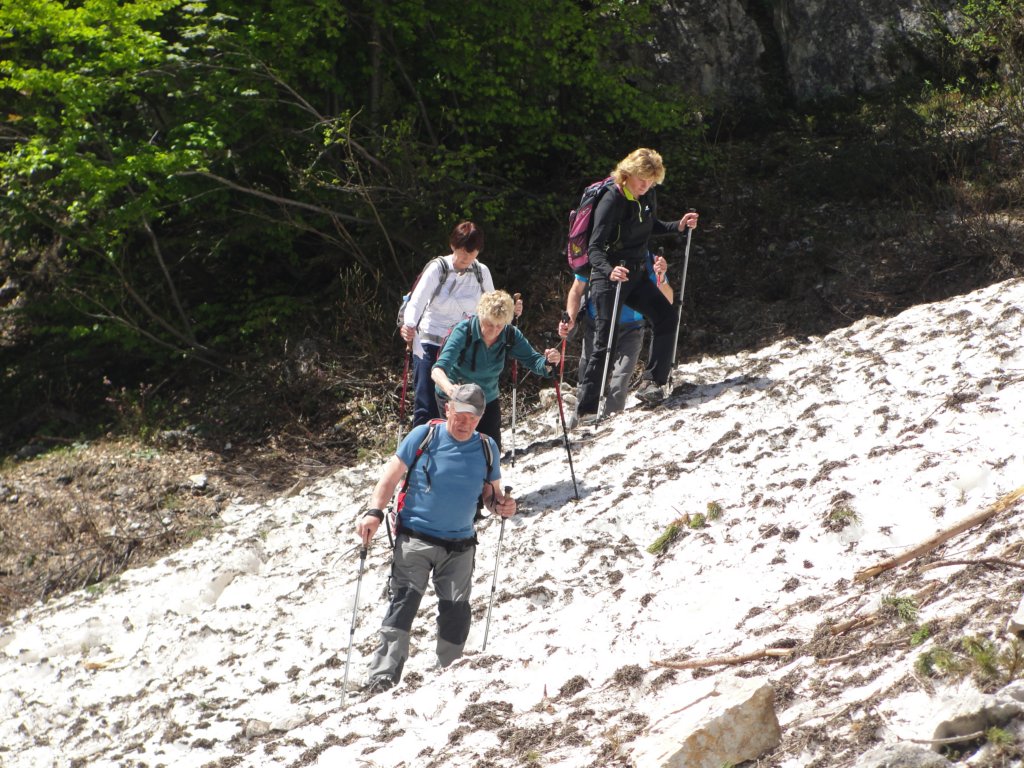 kafinkocbekovopriznanje201338.jpg