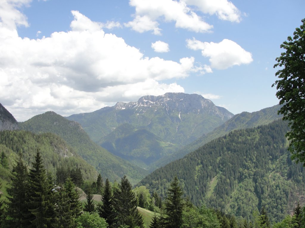 kafinkocbekovopriznanje201346.jpg