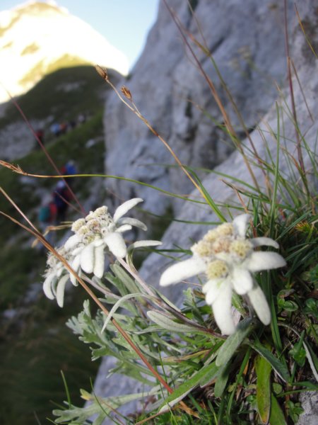 skala201212.jpg