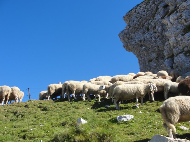 skala201242.jpg