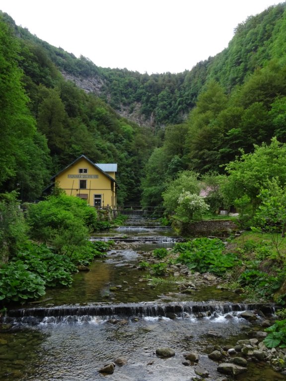 skradskivrh10.jpg
