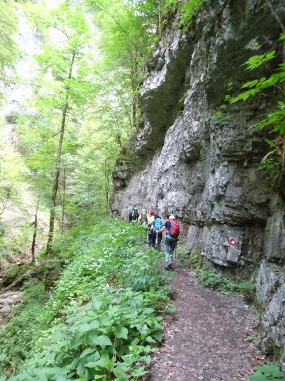 skradskivrh16.jpg
