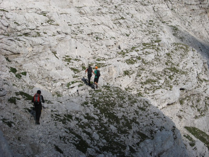 krlat201119.jpg