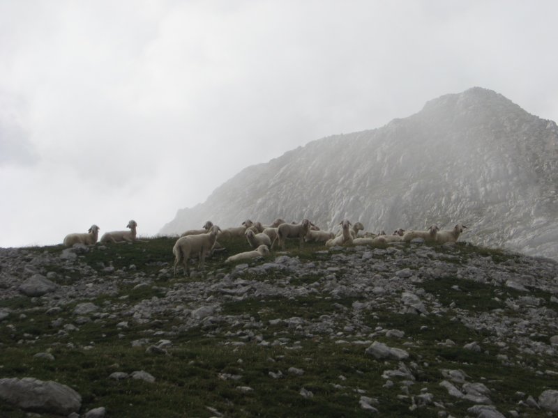 krlat201141.jpg