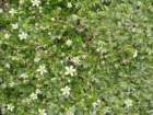 krlat201160_small.jpg