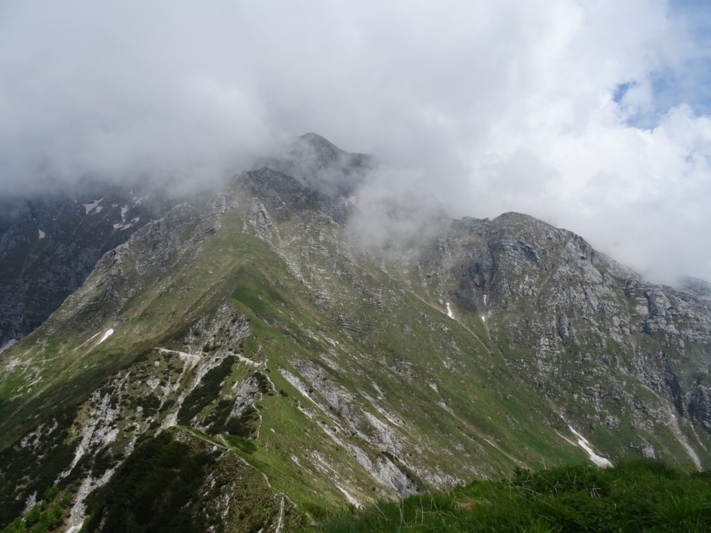 skutnik34.jpg