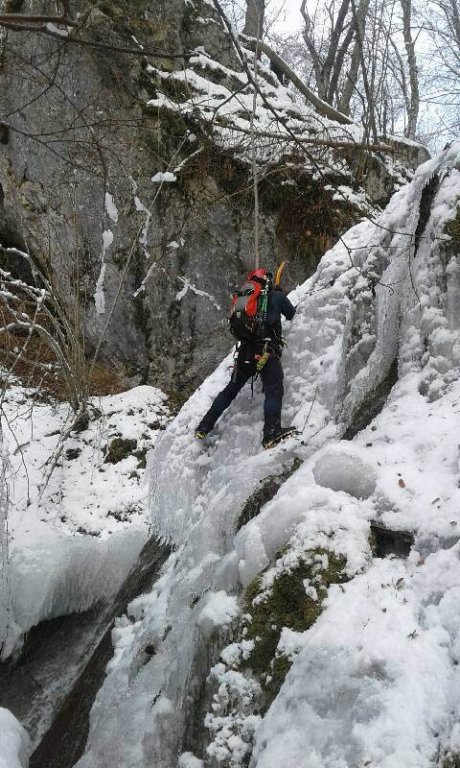 slapkosca14.jpg