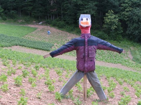 slomkovapot3.jpg