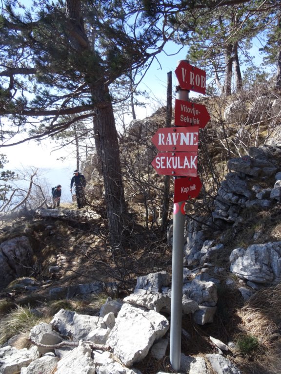 konjakvelikirob30.jpg