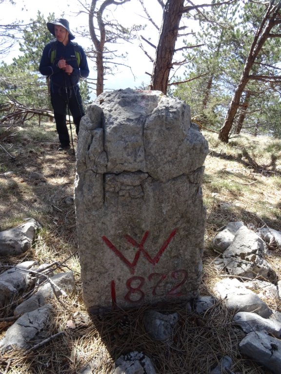konjakvelikirob36.jpg
