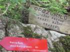 pik067_small.jpg