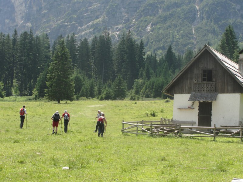pik070.jpg