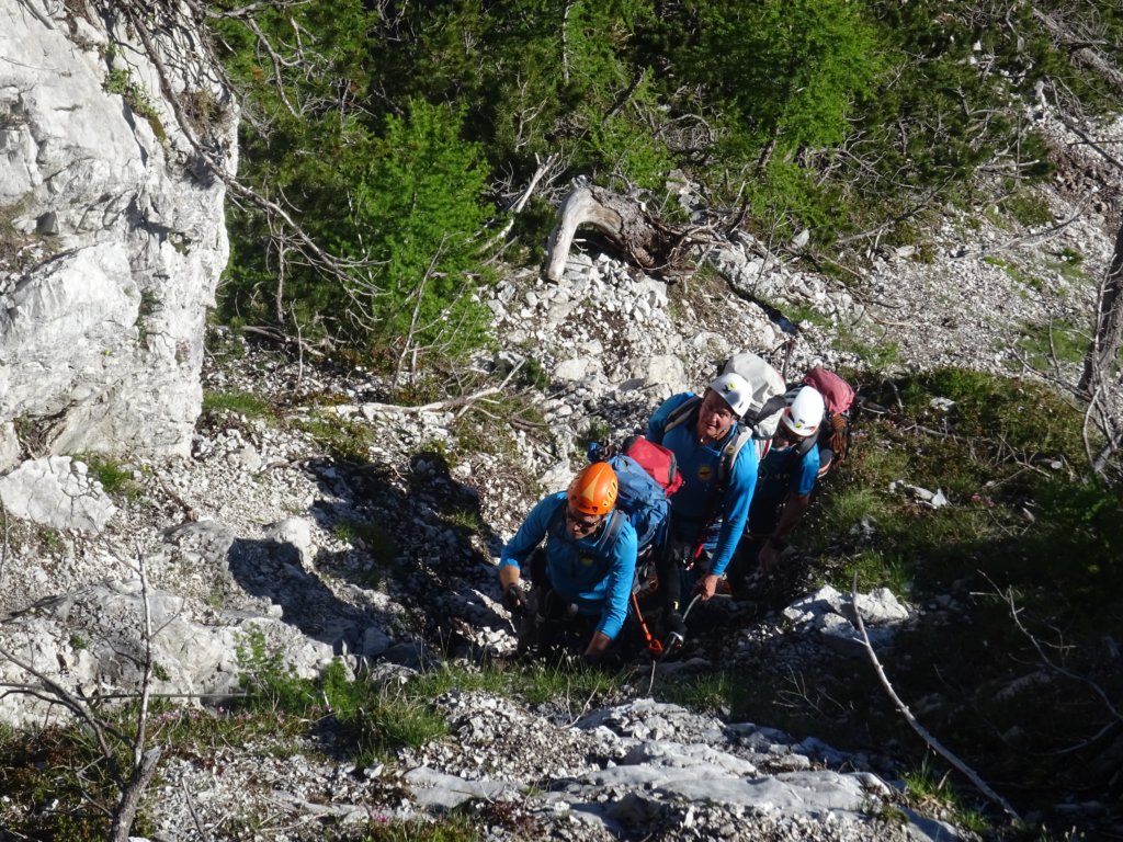 stolpoplezalni32.jpg