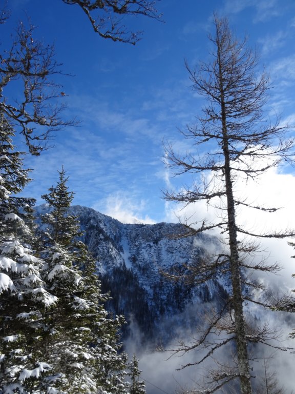 stori20177.jpg