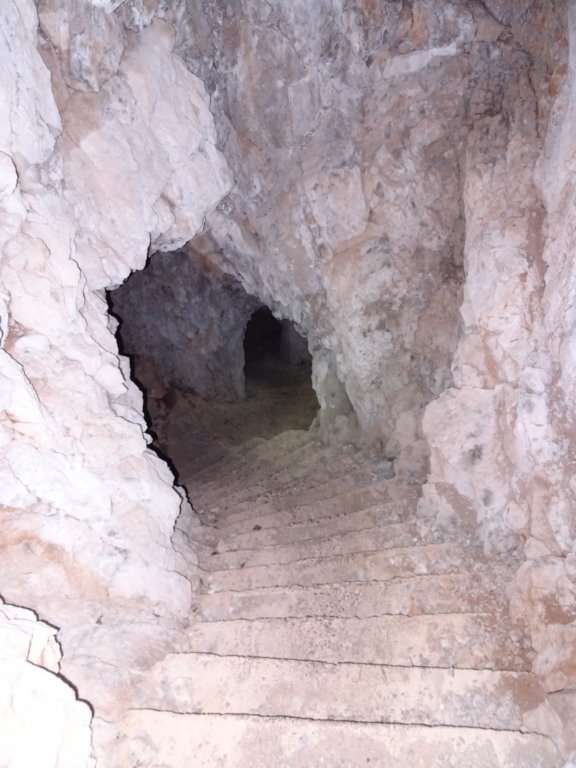 svetagora40.jpg