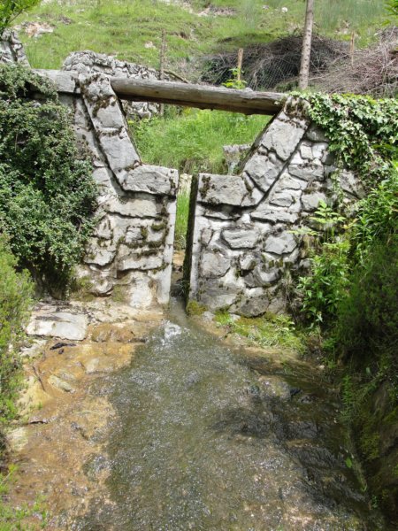 svinjak60.jpg