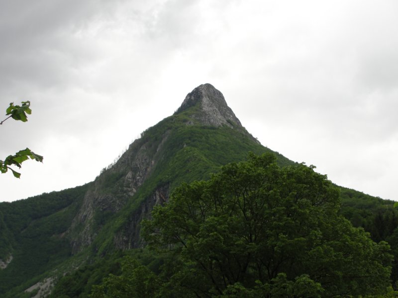 svinjak63.jpg