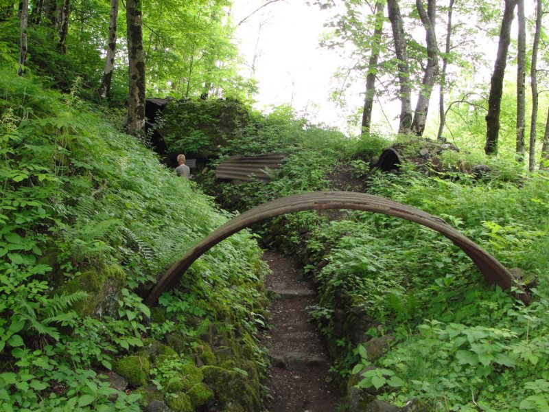 svinjak66.jpg