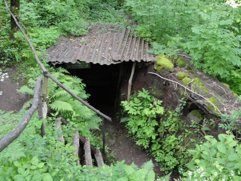 svinjak69.jpg