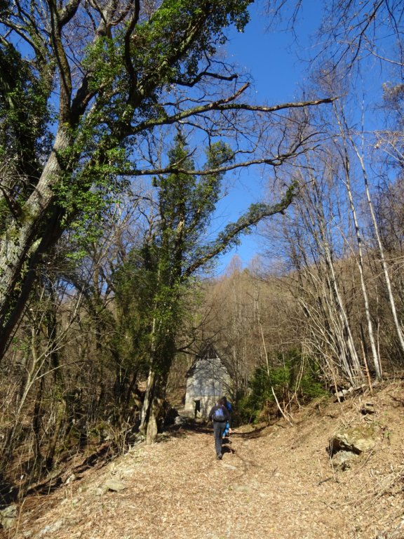 svjakob5.jpg