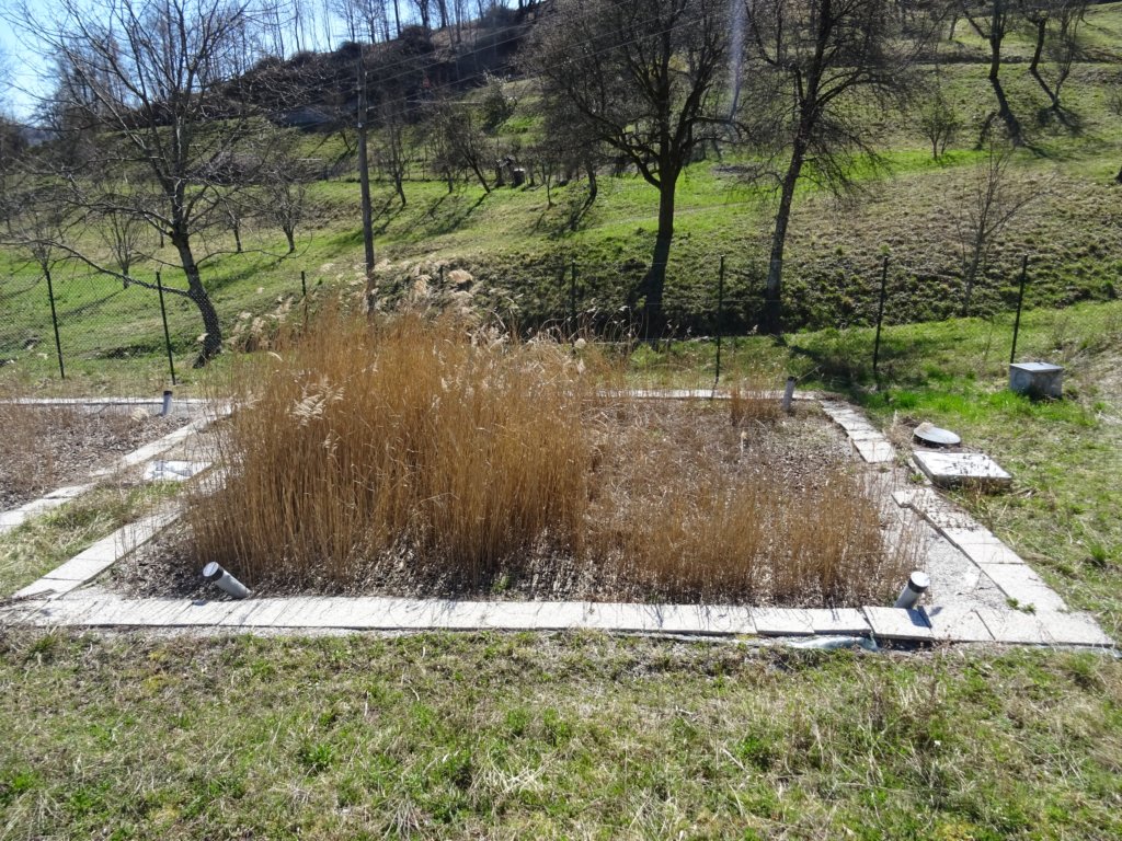 svjakob85.jpg