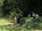 letkriakrlatica11_small.jpg