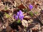 paklenica202629_small.jpg