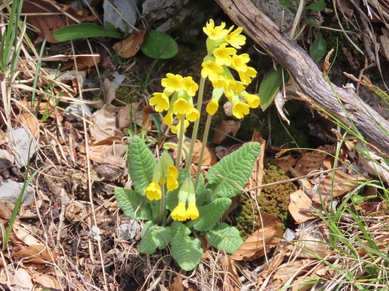 paklenica202644.jpg