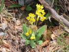 paklenica202644_small.jpg
