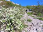 paklenica202654_small.jpg