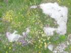 tolminskikuk32_small.jpg